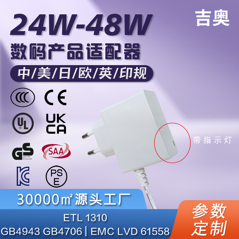 CE欧规美规ETL美容仪医疗认证护理仪LED灯智能定制爆款电源适配器