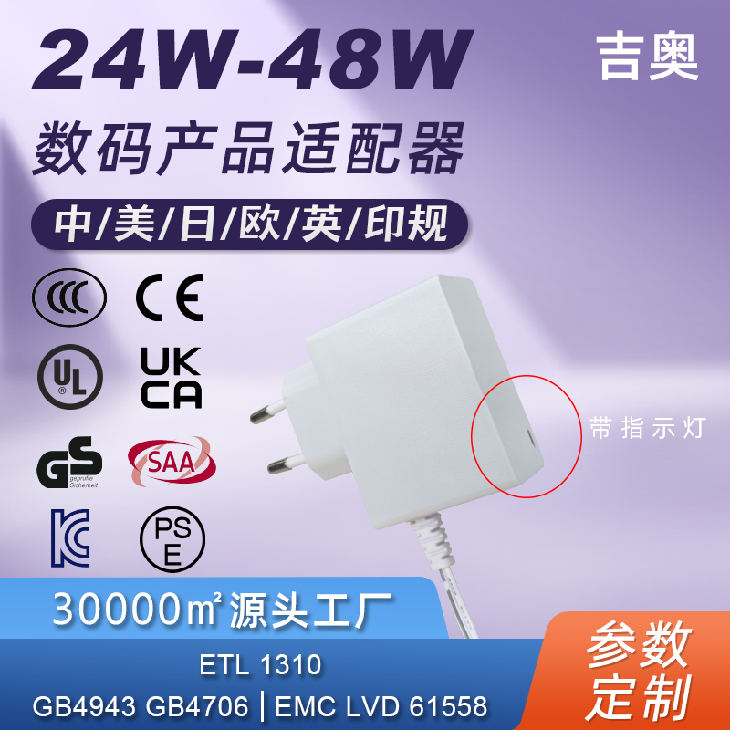 CE欧规美规ETL美容仪医疗认证护理仪LED灯智能定制爆款电源适配器